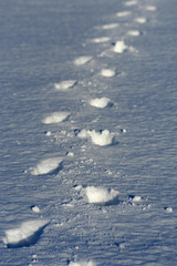 footprints in snow