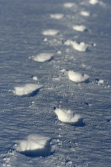 footprints in snow