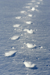 footprints in snow