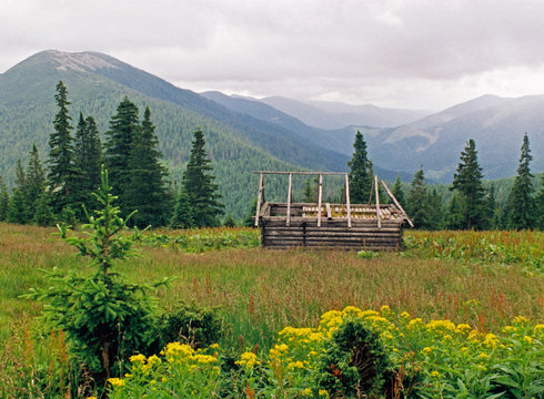 mountainous meadow 8