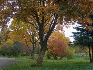 autumn park 2