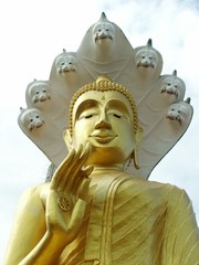 statue de bouddha
