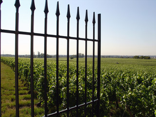 grille ouverte sur des vignes