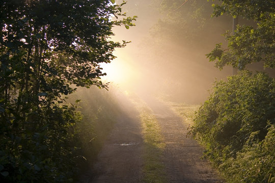 Fototapeta nebelweg