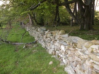 dry stone wall in woods