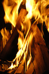burning fire wood