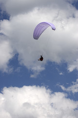 paraglider