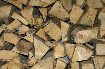 woodpile of fire wood
