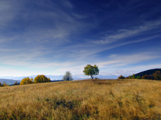 Obraz premium autumn magic