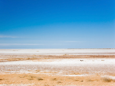 dry salt lake