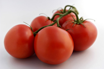 tomatoes on white endless background.