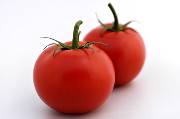 tomatoes