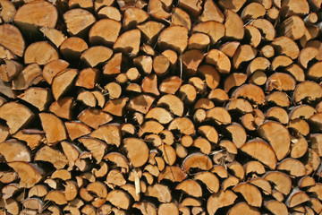 Stacked Pile of Cut Logs in a Natural Wood Setting