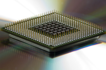 micro chip 1