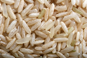 rice background