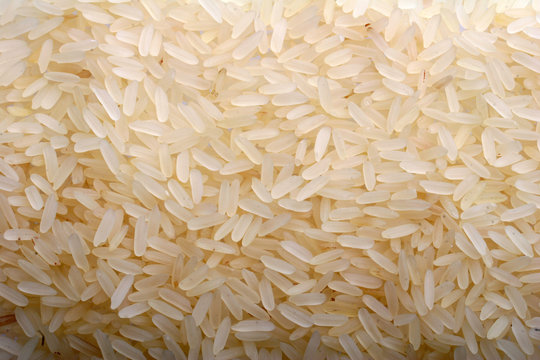 rice background