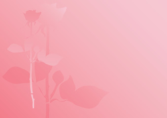 pastel rose background