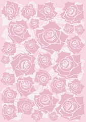 pink roses background