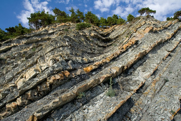 littoral rock