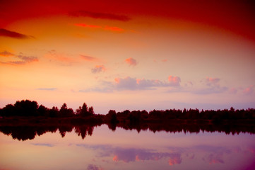 summer landscape