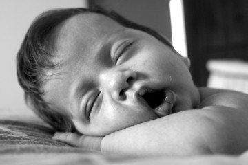 neonato
