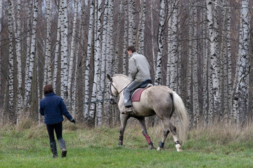 horse training 3