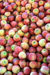 pomme