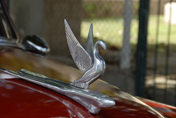 oldtimer kühlerfigur schwan
