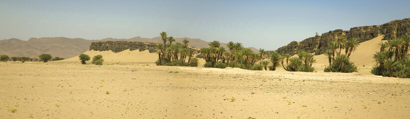 désert de sable