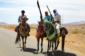 cavaliers marocains