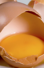 broken egg with yolk