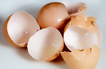 empty egg shells