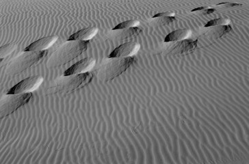 footsteps in the sand dunes