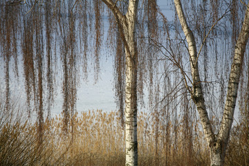 winter lake