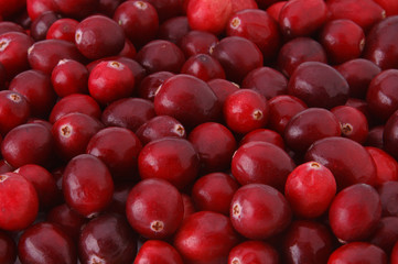 pile of cranberries