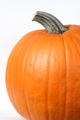 big orange pumpkin. on a white background. 2