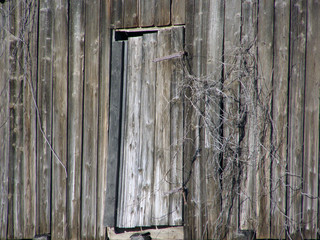 wooden door