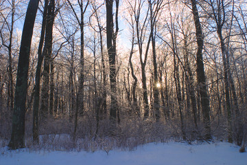 icy sunrise