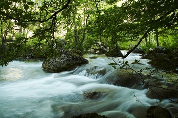 river movement in the forest