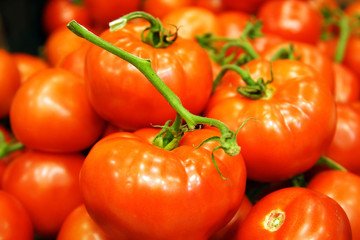 red tomatoes