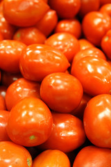 red tomatoes