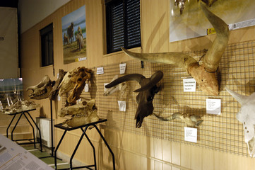 orce-198 © Paco Ayala