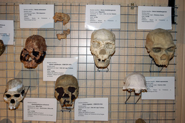 orce-212 © Paco Ayala