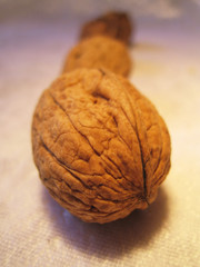 walnuß