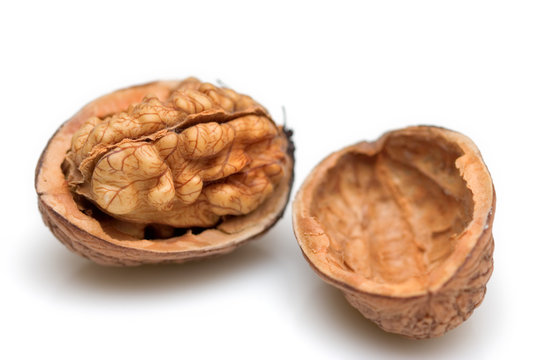 close-up of a walnut