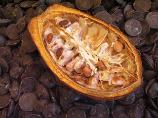 demi-cabosse cacao & pastilles chocolat noir