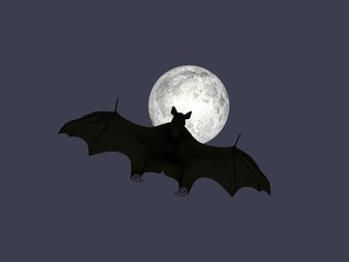 chauve-souris the bat fledermaus