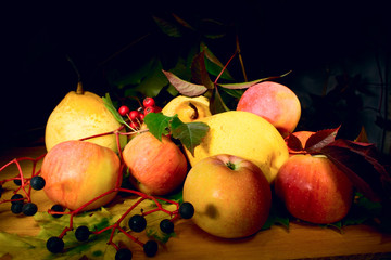 ripe fruits harvest