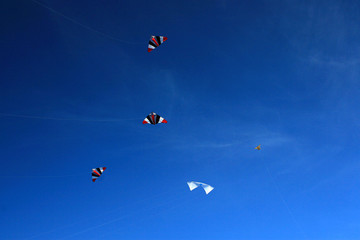 cerf volant