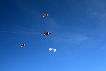 cerf volant